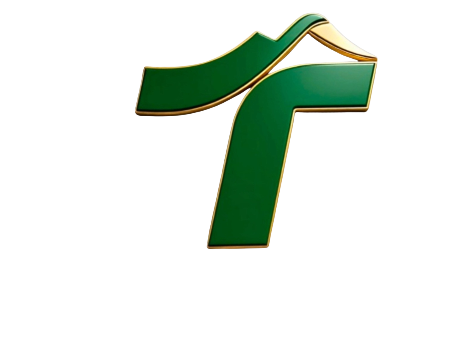 شعار شركة TAI BOARD